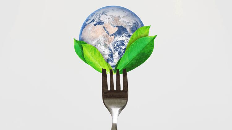 Diners have new-found concern for the environment post lockdown, says poll