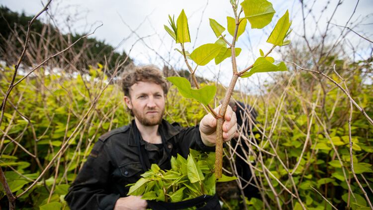 To be or knot to be: Douglas McMaster on using invasive species in cooking