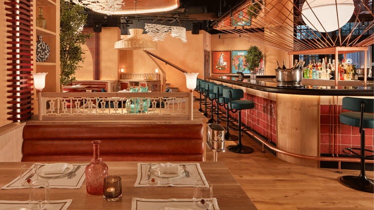 Latest opening: Bibo