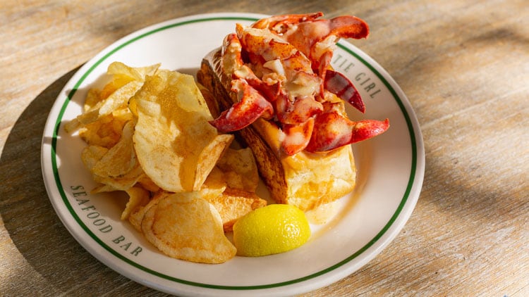 Latest opening: Saltie Girl