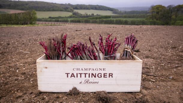 Taittinger-610.jpg