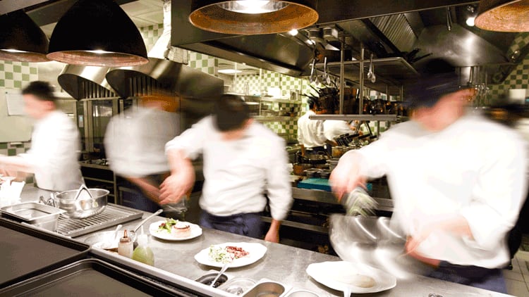 Hospitality businesses urged to apply for overseas workers licence ahead of summer trade 