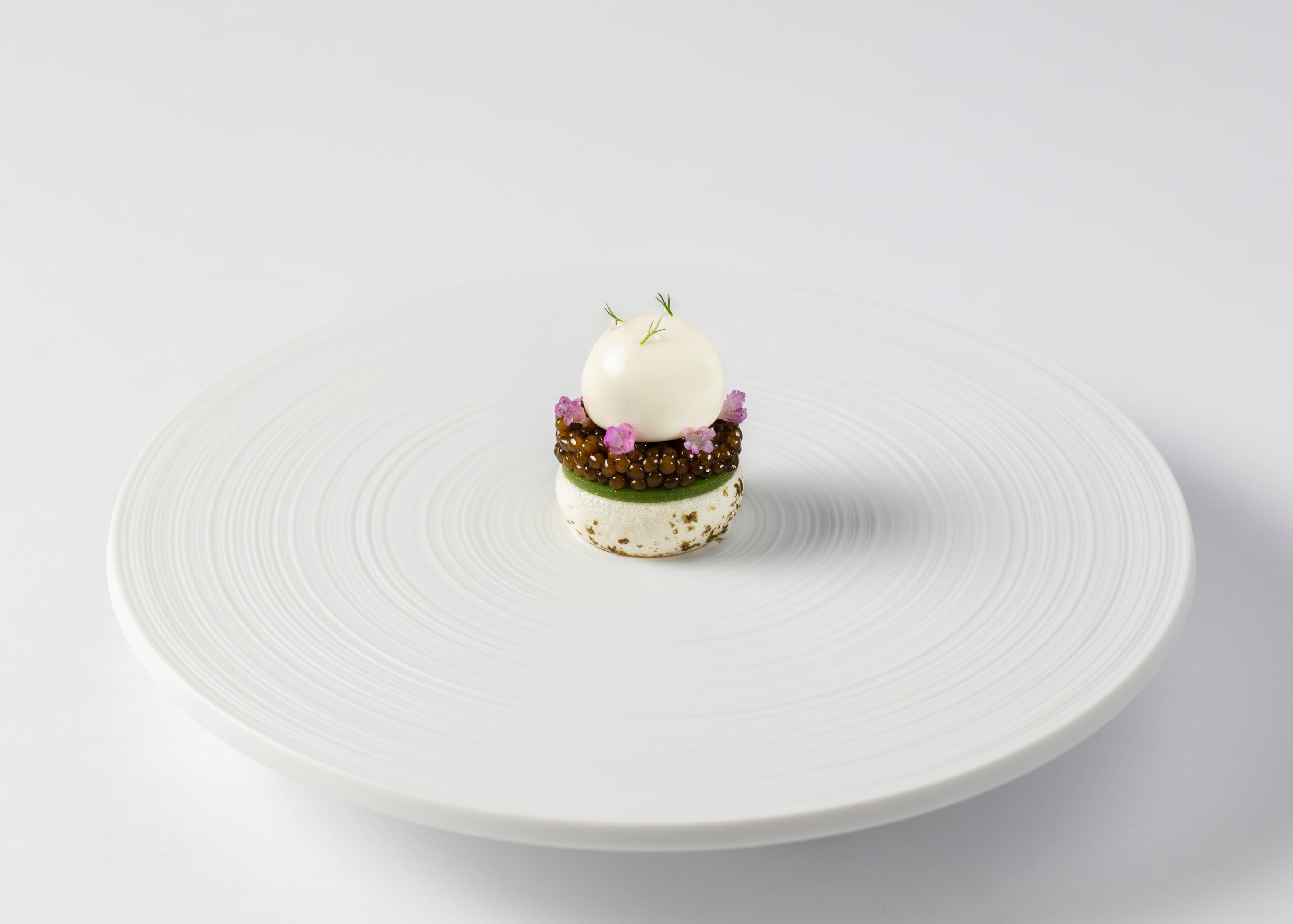Oysters and Pearls dish at Row on 5