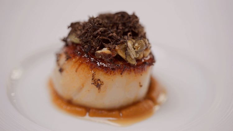 Scallop.png