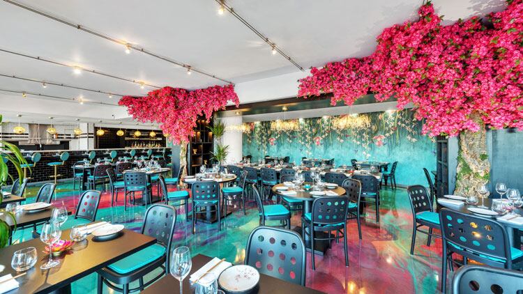 Peter Lloyd lines up third Sticky Mango restaurant in Islington