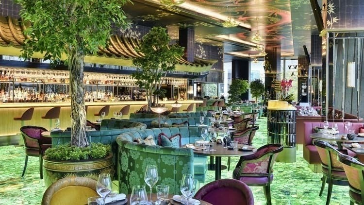 Expansion drives ‘strong growth’ for The Ivy Collection
