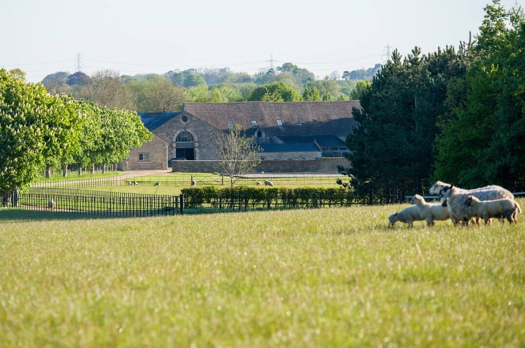 The Ox Barn restaurant to complete Thyme's farm renovation