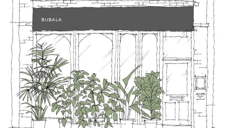 Latest opening: Bubala