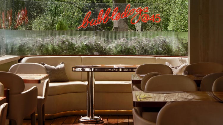 Bubbledogs-interior.jpg