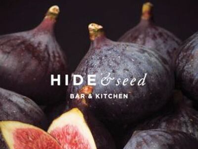 Hide-See.jpg