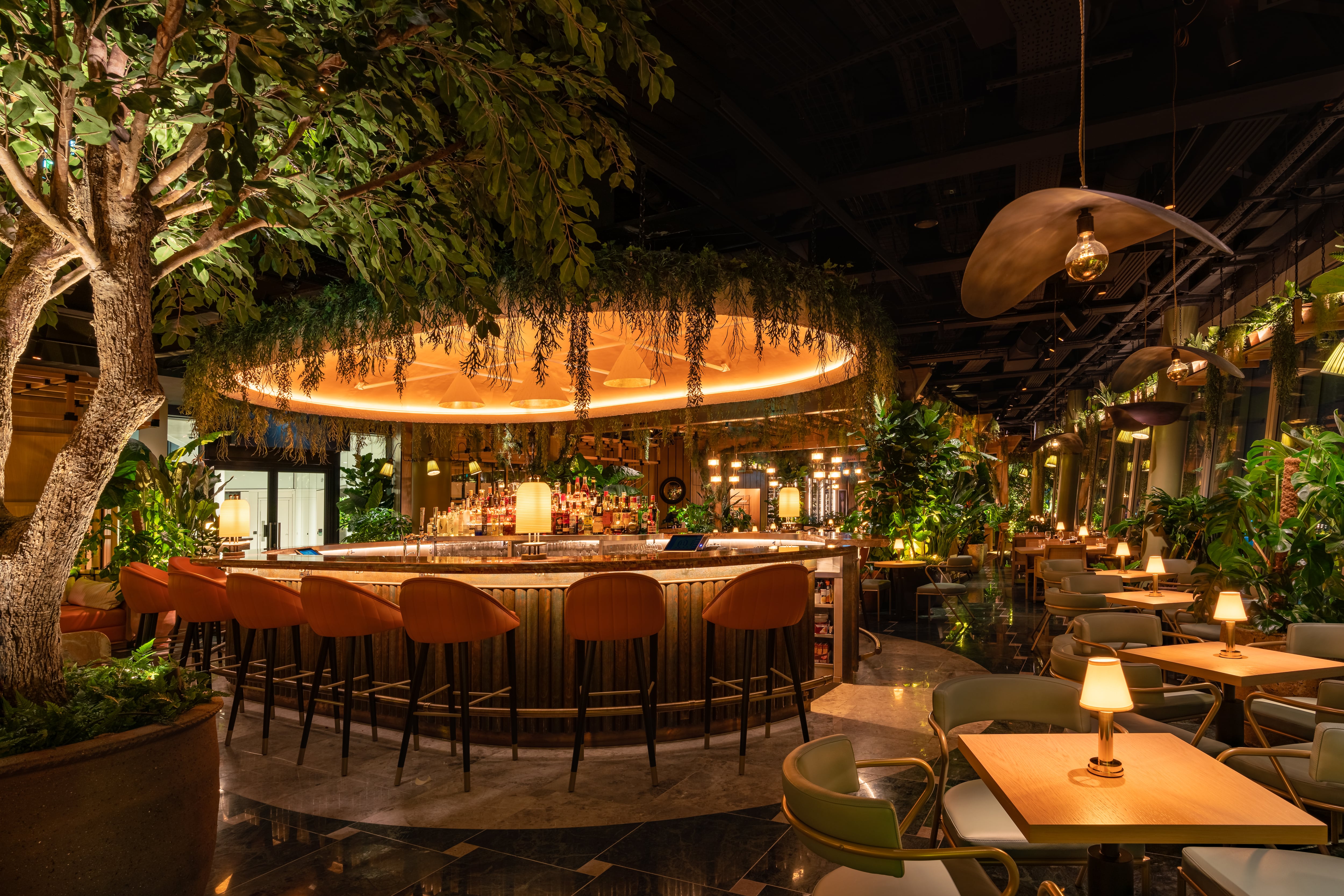 The Evolv Collection ‘continuing to develop core restaurant brands’ following ‘successful transition period’