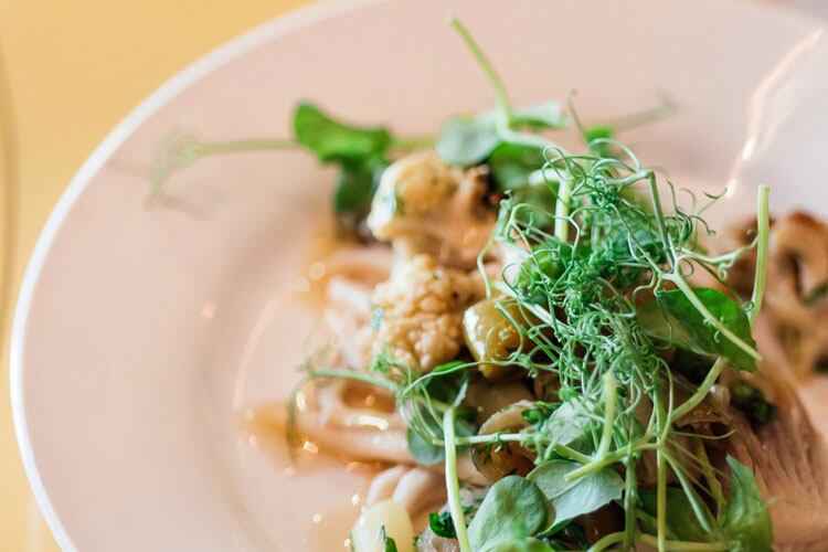 Jackson Berg and Natalia Ribbe to launch new restaurant in Kent