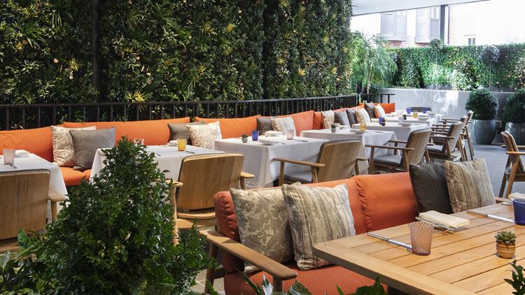 The-Betterment-terrace.jpg