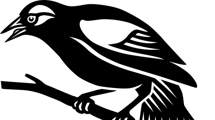 Dom_Robinson_to_open_Blackbird_pub.png