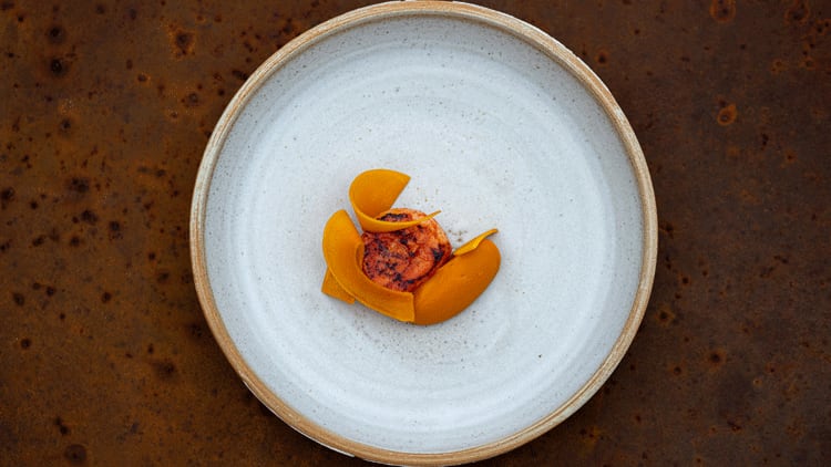 Crocadon-food1.png