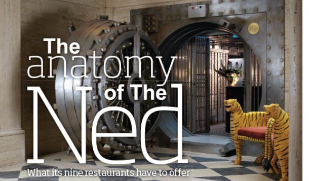 anatomy-header-610.jpg