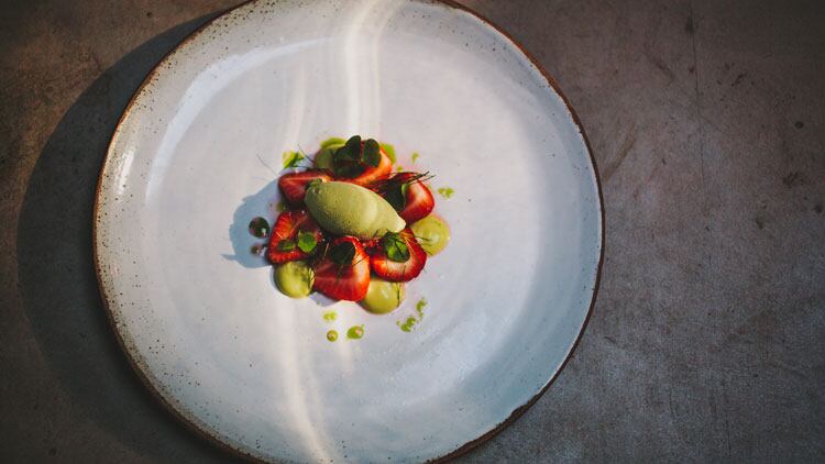 Alchemilla-food1.jpg
