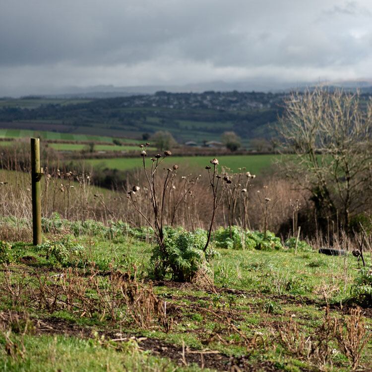 Crocadon-farm-1.jpg