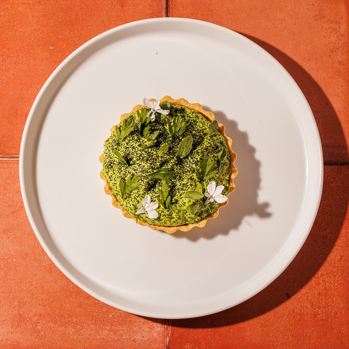 Plant-based feature