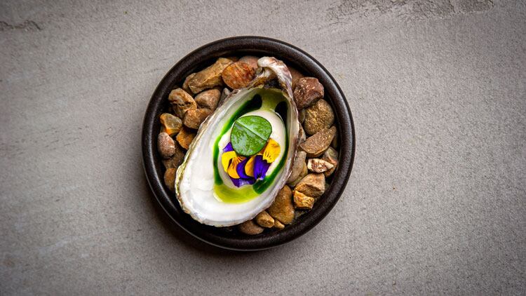 OpheemFood1.jpg