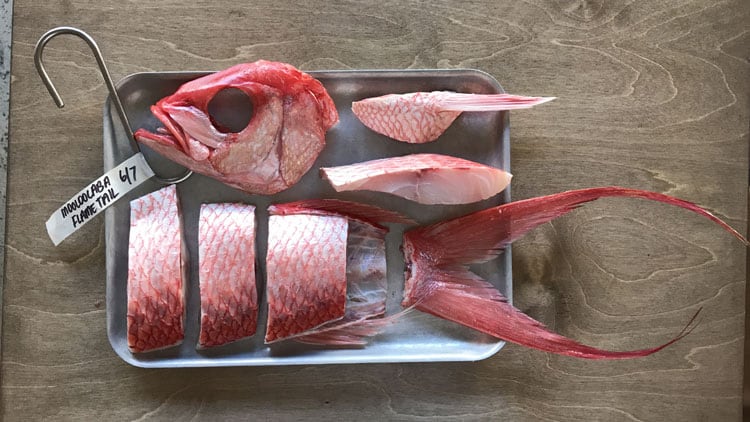Whole-fish-butchery.jpg
