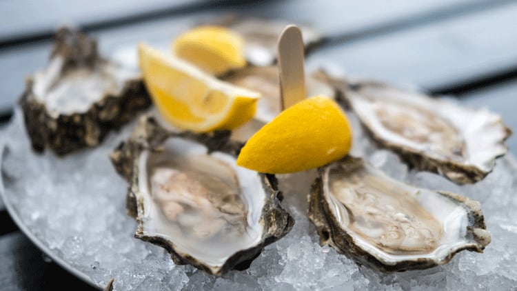 Oysters.png