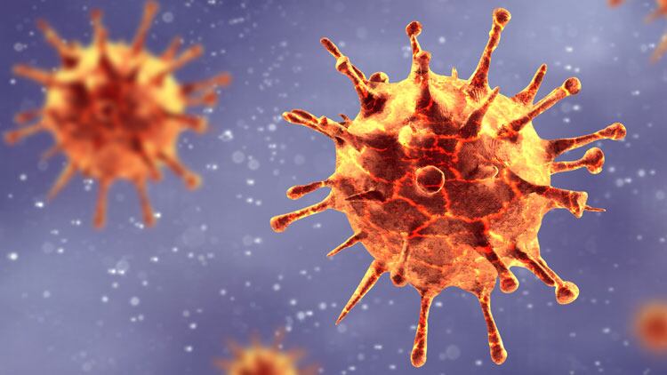 Industry hit by 'double whammy' of Coronavirus and immigration policy