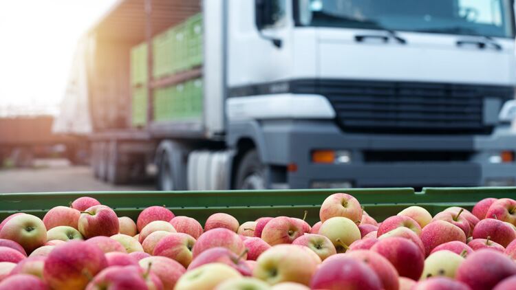 Foodservice price inflation shows signs of easing but remains above 20%   