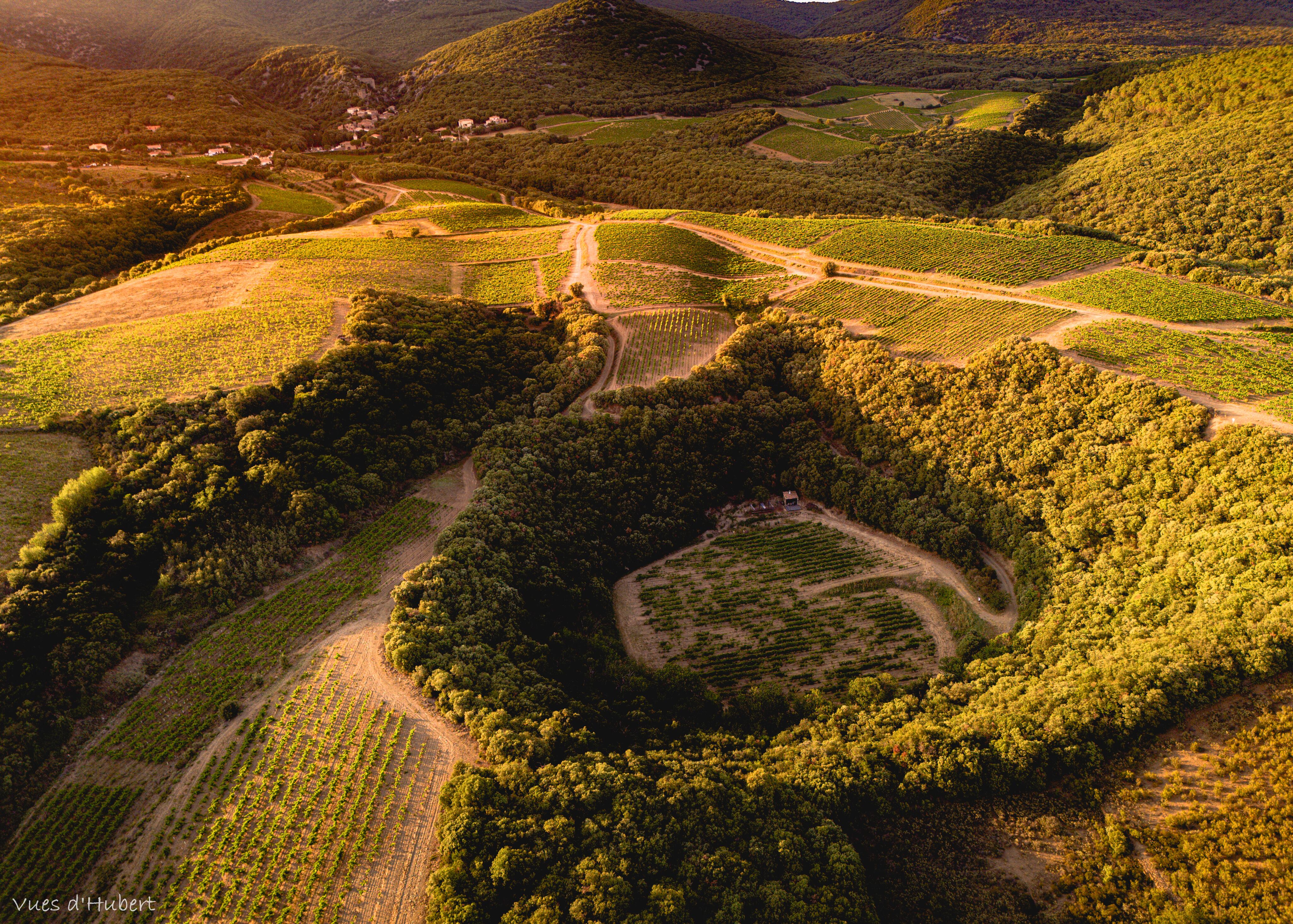 Domaine du Météore winery situated in a meteor crater, Languedoc, France.