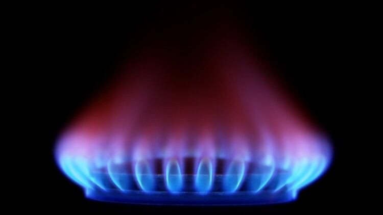 Energy support for businesses could be halved 
