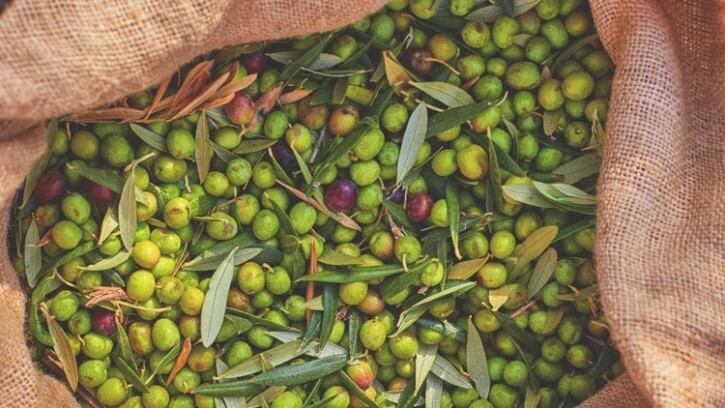 How-Belazu-is-dedicated-to-supplying-the-culinary-world-with-the-finest-ingredients.jpg