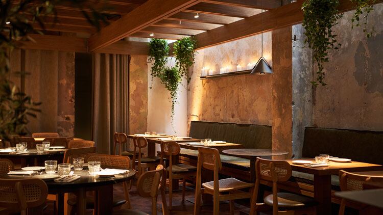 Latest opening: Firebird