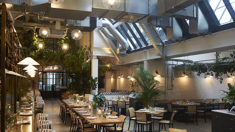 Latest opening: Wild by Tart