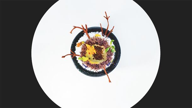 rigo-food.jpg