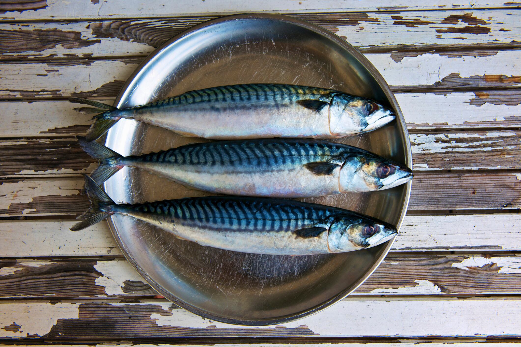 Restaurants recommended to stop serving mackerel amid declining stocks