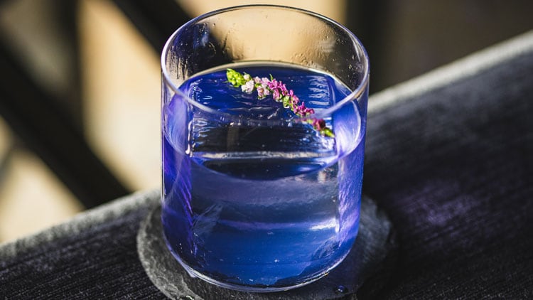 cocktail-web.jpg