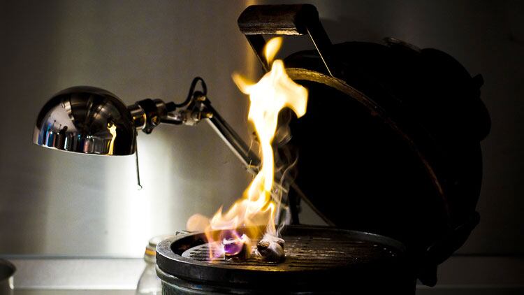 Ynyshir-flame.jpg