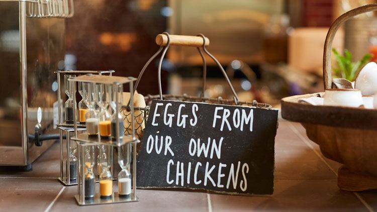 THE-PIG-at-Bridge-Place-eggs.jpg