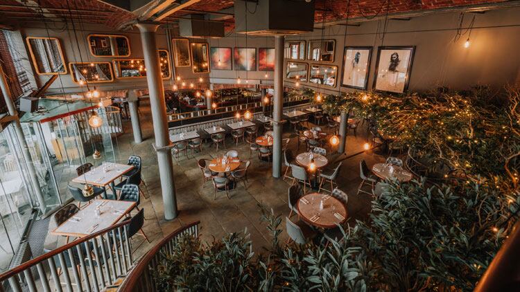 Restaurant-group-Gusto-Italian-looks-south-after-posting-resilient-results.jpg