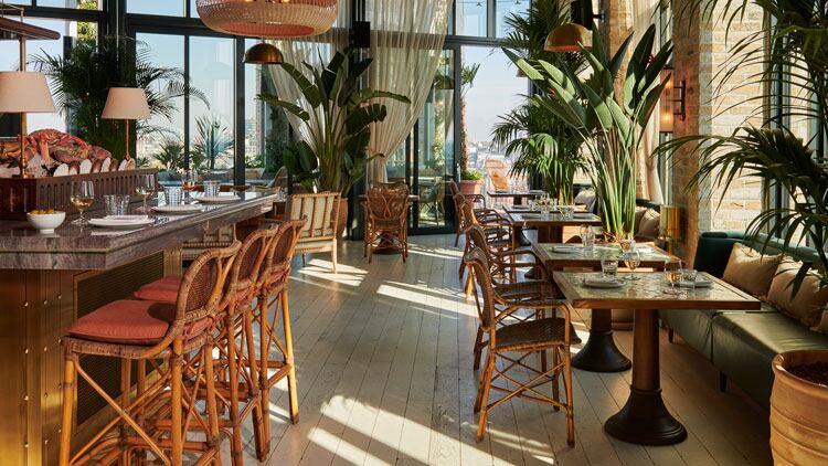  Latest opening: Seabird