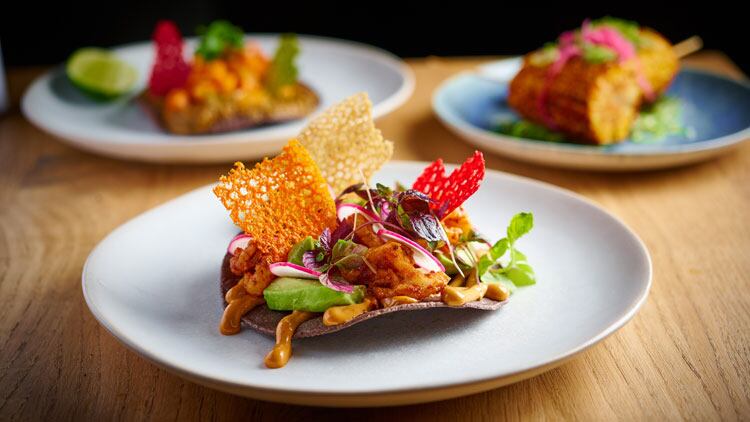 Arya Razi launches Mexican restaurant MXO  
