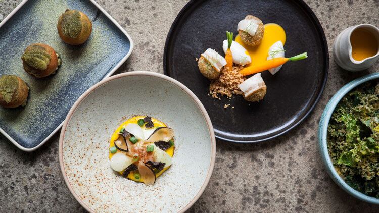 roots-dishes.jpg