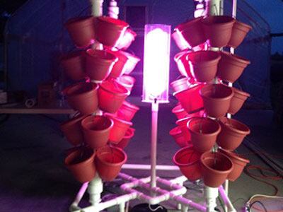 vertical-veg-growing.jpg