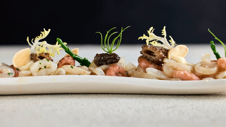 The-Raby-Hunt-Brown-Shrimp.png