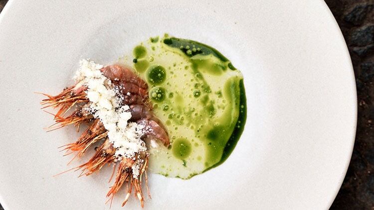 Raw-Torbay-Prawns-web.jpg