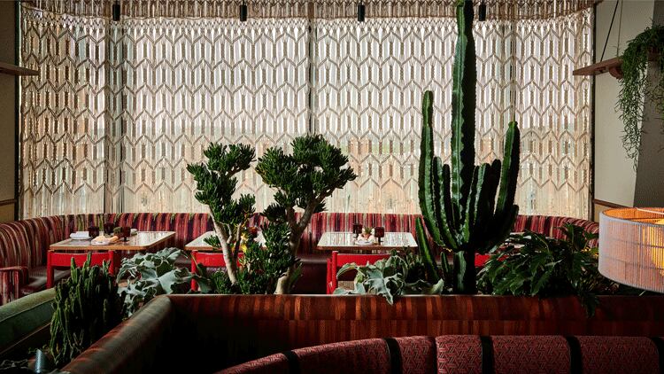 Latest opening: Decimo