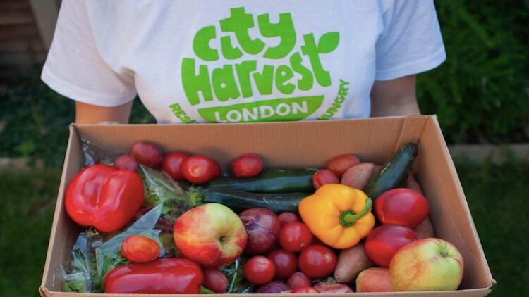 City Harvest sees massive rise in food donations following restaurant closures