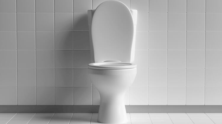 Where-are-the-dirtiest-pub-and-restaurant-toilets-in-the-UK-Tripadvisor.png