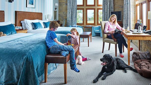 DOG-photo-southlodges-610.jpg
