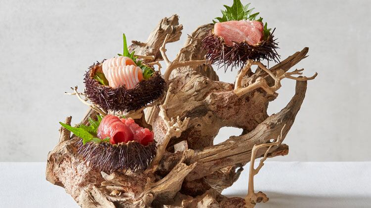 RAI-sashimi-driftwood-web.jpg